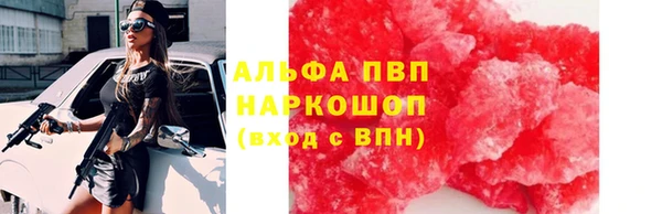 трава Инта