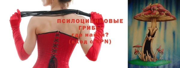 трава Инта