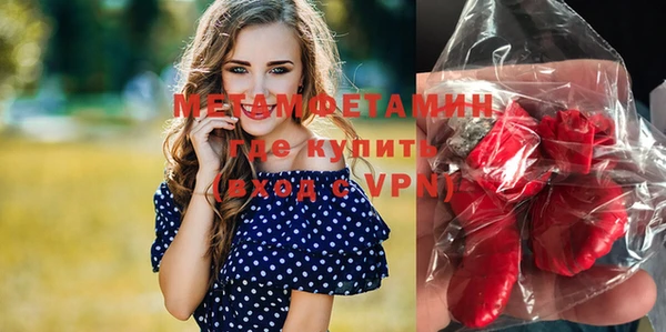 трава Инта