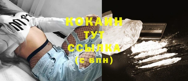 трава Инта
