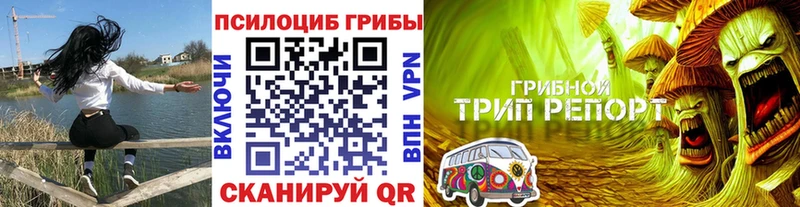 Псилоцибиновые грибы GOLDEN TEACHER  Купить где  Называевск 